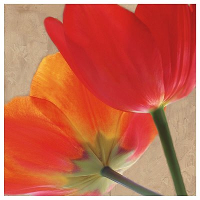 floral art✼•• Amazon.com: Colorful Flower Puzzles for Adults, Mosaic Plant